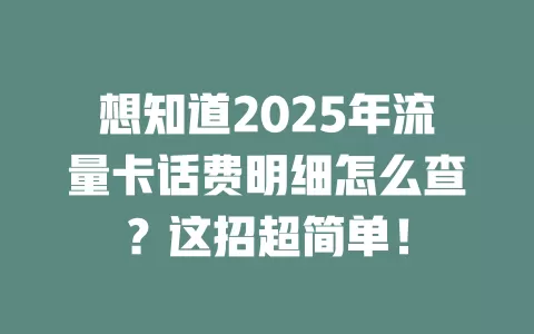 想知道2025年流量卡话费明细怎么查？这招超简单！