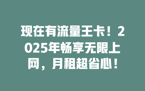 现在有流量王卡！2025年畅享无限上网，月租超省心！