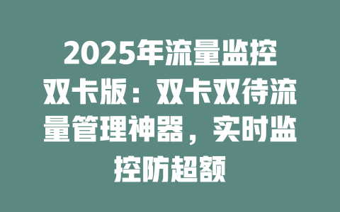 2025年流量监控双卡版：双卡双待流量管理神器，实时监控防超额