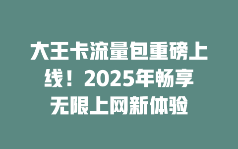 大王卡流量包重磅上线！2025年畅享无限上网新体验