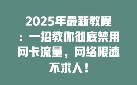 2025年最新教程：一招教你彻底禁用网卡流量，网络限速不求人！