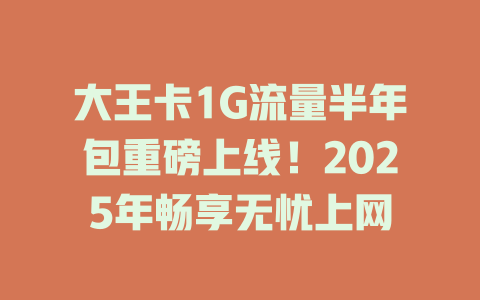 大王卡1G流量半年包重磅上线！2025年畅享无忧上网
