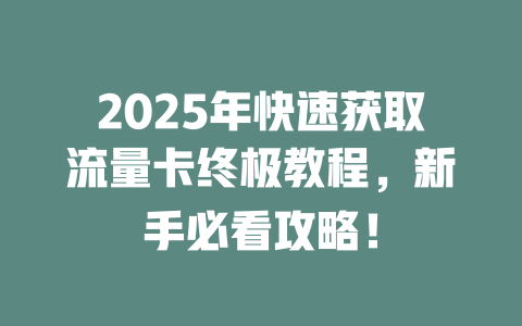 2025年快速获取流量卡终极教程，新手必看攻略！