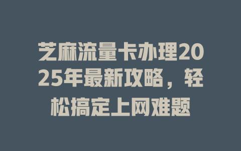 芝麻流量卡办理2025年最新攻略，轻松搞定上网难题