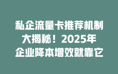 私企流量卡推荐机制大揭秘！2025年企业降本增效就靠它