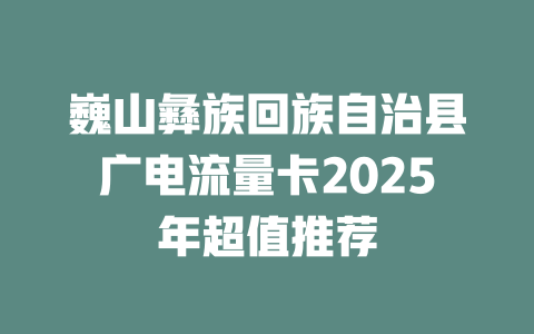 巍山彝族回族自治县广电流量卡2025年超值推荐