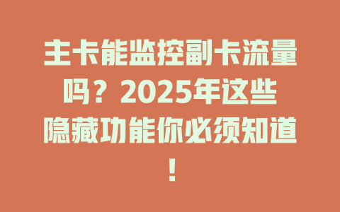 主卡能监控副卡流量吗？2025年这些隐藏功能你必须知道！