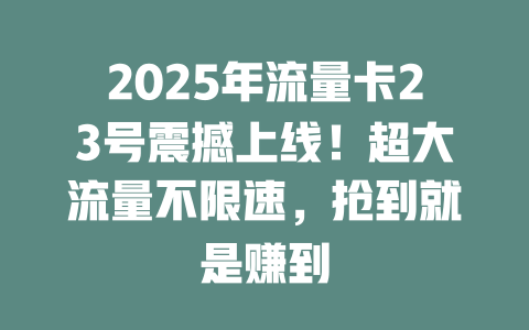 2025年流量卡23号震撼上线！超大流量不限速，抢到就是赚到
