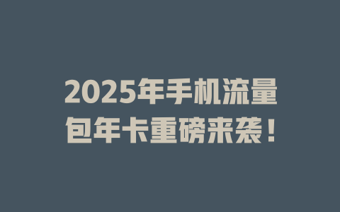 2025年手机流量包年卡重磅来袭！