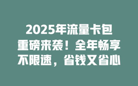 2025年流量卡包重磅来袭！全年畅享不限速，省钱又省心