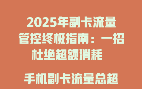 2025年副卡流量管控终极指南：一招杜绝超额消耗  

手机副卡流量总超标？