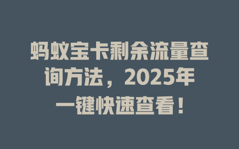 蚂蚁宝卡剩余流量查询方法，2025年一键快速查看！