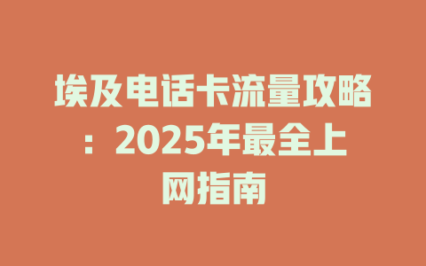 埃及电话卡流量攻略：2025年最全上网指南