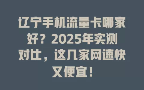 辽宁手机流量卡哪家好？2025年实测对比，这几家网速快又便宜！