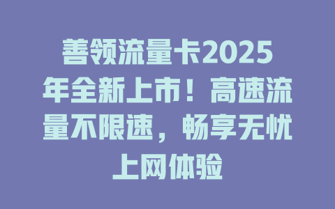 善领流量卡2025年全新上市！高速流量不限速，畅享无忧上网体验