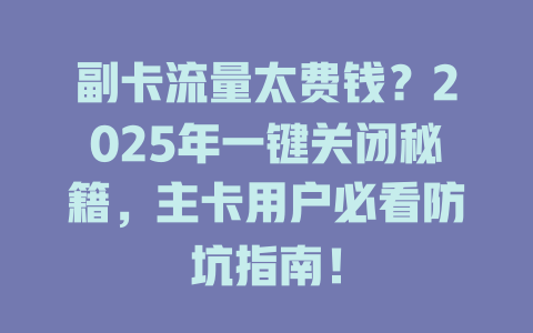 副卡流量太费钱？2025年一键关闭秘籍，主卡用户必看防坑指南！