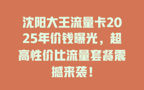 沈阳大王流量卡2025年价钱曝光，超高性价比流量套餐震撼来袭！