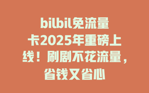 bilbil免流量卡2025年重磅上线！刷剧不花流量，省钱又省心