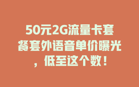 50元2G流量卡套餐套外语音单价曝光，低至这个数！