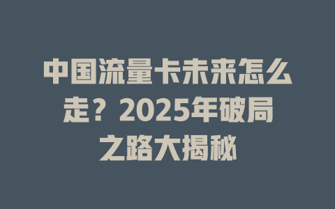 中国流量卡未来怎么走？2025年破局之路大揭秘