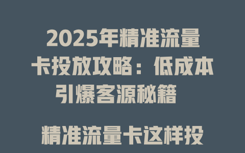 2025年精准流量卡投放攻略：低成本引爆客源秘籍  

精准流量卡这样投！