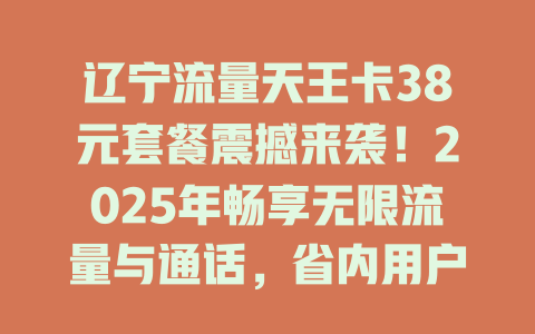 辽宁流量天王卡38元套餐震撼来袭！2025年畅享无限流量与通话，省内用户首选！