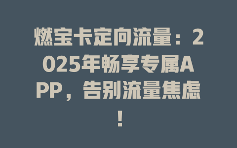 燃宝卡定向流量：2025年畅享专属APP，告别流量焦虑！