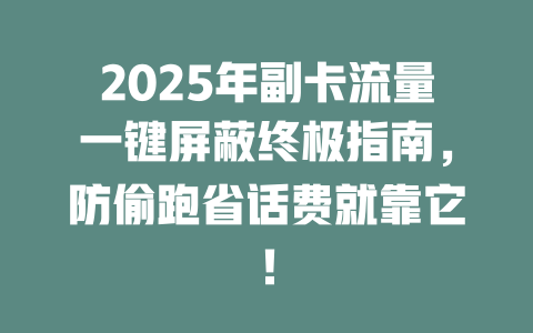 2025年副卡流量一键屏蔽终极指南，防偷跑省话费就靠它！