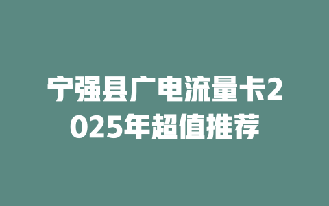 宁强县广电流量卡2025年超值推荐