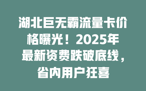 湖北巨无霸流量卡价格曝光！2025年最新资费跌破底线，省内用户狂喜