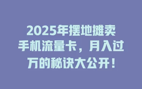 2025年摆地摊卖手机流量卡，月入过万的秘诀大公开！