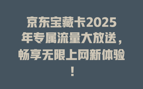 京东宝藏卡2025年专属流量大放送，畅享无限上网新体验！