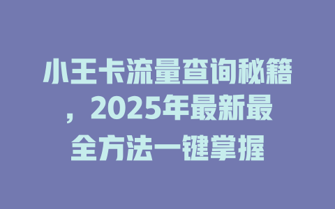 小王卡流量查询秘籍，2025年最新最全方法一键掌握