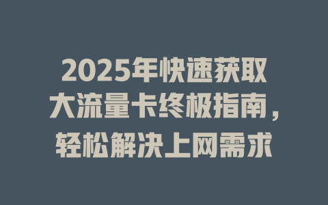 2025年快速获取大流量卡终极指南，轻松解决上网需求