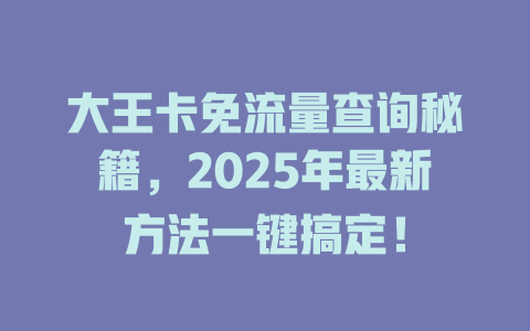 大王卡免流量查询秘籍，2025年最新方法一键搞定！