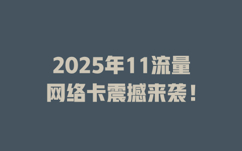 2025年11流量网络卡震撼来袭！