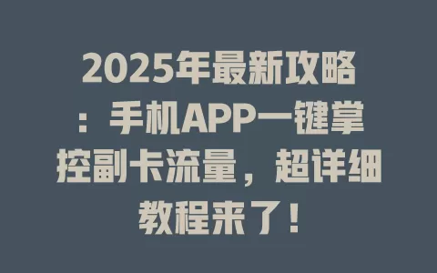 2025年最新攻略：手机APP一键掌控副卡流量，超详细教程来了！