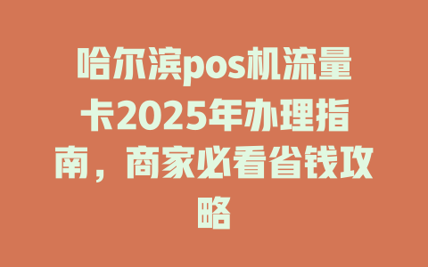 哈尔滨pos机流量卡2025年办理指南，商家必看省钱攻略