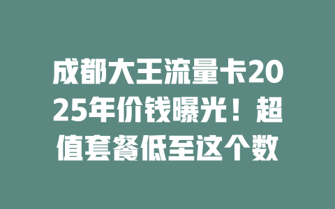 成都大王流量卡2025年价钱曝光！超值套餐低至这个数
