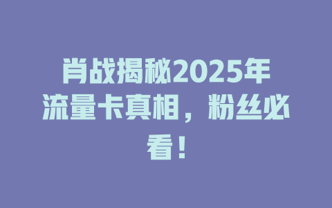 肖战揭秘2025年流量卡真相，粉丝必看！