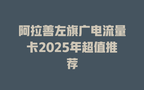 阿拉善左旗广电流量卡2025年超值推荐