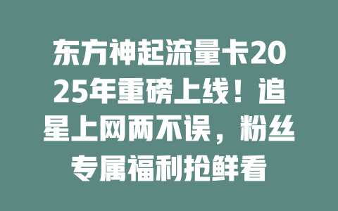 东方神起流量卡2025年重磅上线！追星上网两不误，粉丝专属福利抢鲜看