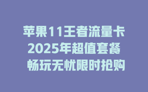 苹果11王者流量卡2025年超值套餐 畅玩无忧限时抢购