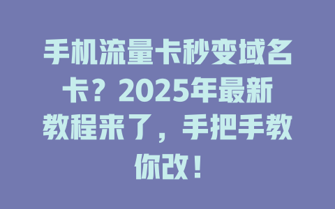手机流量卡秒变域名卡？2025年最新教程来了，手把手教你改！