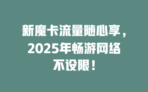 新魔卡流量随心享，2025年畅游网络不设限！