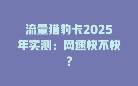 流量猎豹卡2025年实测：网速快不快？