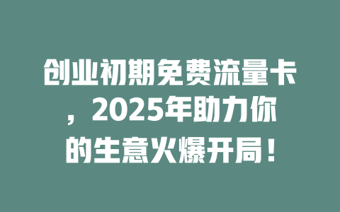 创业初期免费流量卡，2025年助力你的生意火爆开局！