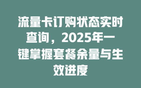 流量卡订购状态实时查询，2025年一键掌握套餐余量与生效进度