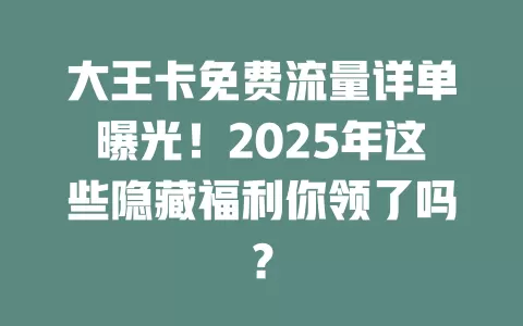 大王卡免费流量详单曝光！2025年这些隐藏福利你领了吗？