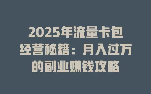 2025年流量卡包经营秘籍：月入过万的副业赚钱攻略
